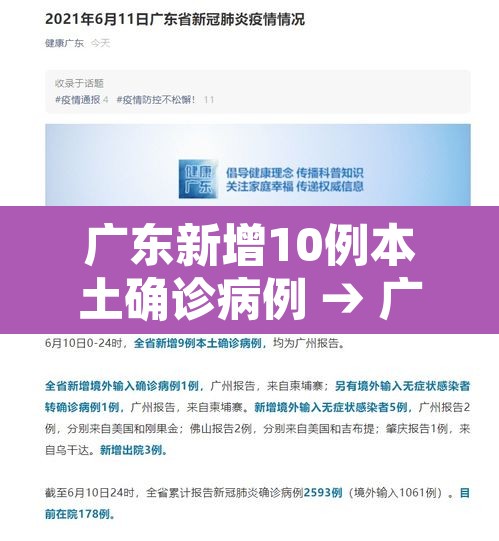 广东新增10例本土确诊病例 → 广东新增10例本土确诊病例详情