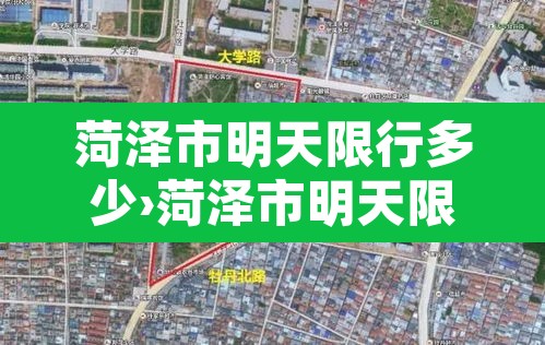 菏泽市明天限行多少›菏泽市明天限号吗
