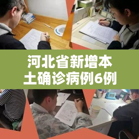 河北省新增本土确诊病例6例 → 河北省新增确诊病历