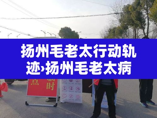 扬州毛老太行动轨迹›扬州毛老太病情怎样