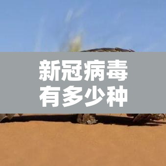 新冠病毒有多少种毒株—（新冠病毒各种毒株）