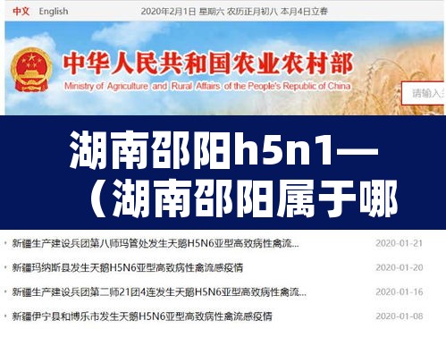 湖南邵阳h5n1—（湖南邵阳属于哪个市）