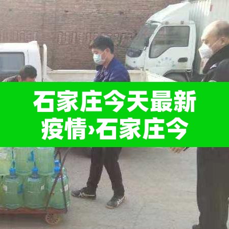 石家庄今天最新疫情›石家庄今天疫情数据