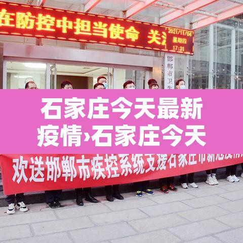 石家庄今天最新疫情›石家庄今天疫情数据