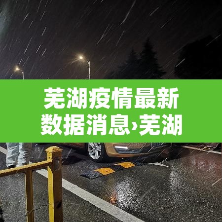 芜湖疫情最新数据消息›芜湖疫情最新情况数据