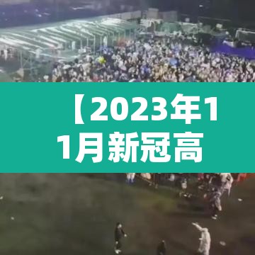 【2023年11月新冠高峰,新冠肺炎疫情11月份高发期】