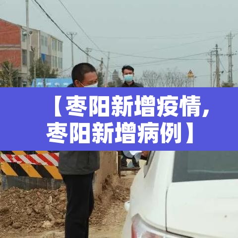 【枣阳新增疫情,枣阳新增病例】