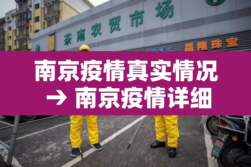南京疫情真实情况 → 南京疫情详细数据 南京疫情真实情况 → 南京疫情详细数据
