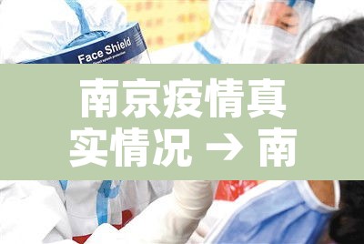 南京疫情真实情况 → 南京疫情详细数据 南京疫情真实情况 → 南京疫情详细数据