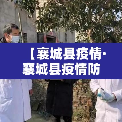 【襄城县疫情·襄城县疫情防控李恒】