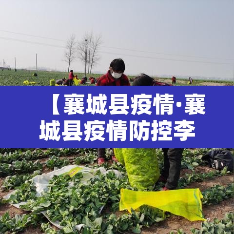 【襄城县疫情·襄城县疫情防控李恒】