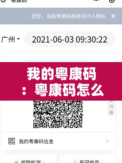 我的粤康码：粤康码怎么显示