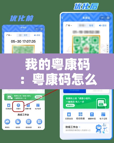 我的粤康码：粤康码怎么显示