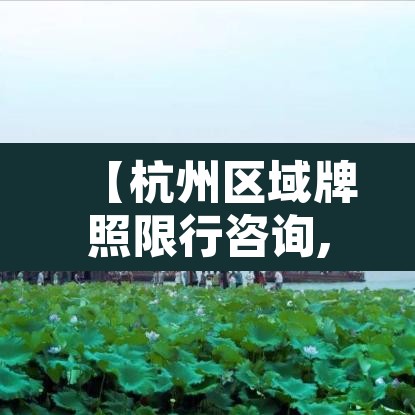 【杭州区域牌照限行咨询,杭州区域牌照限行咨询热线】