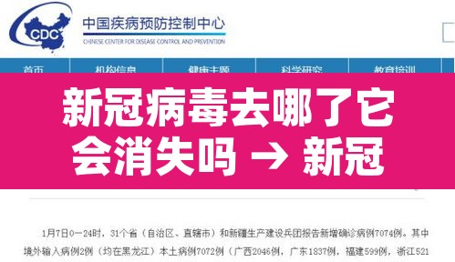 新冠病毒去哪了它会消失吗 → 新冠病毒都在哪可以存活 新冠病毒去哪了它会消失吗 → 新冠病毒都在哪可以存活
