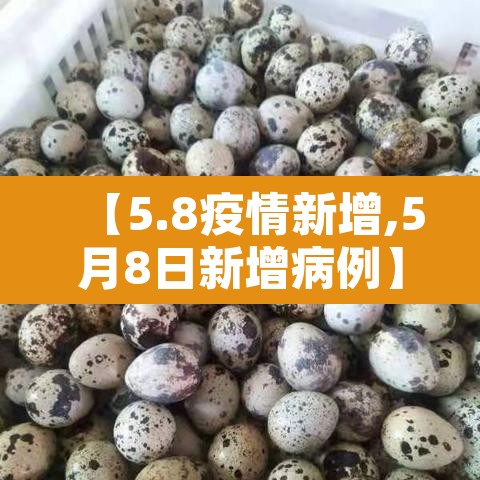 【5.8疫情新增,5月8日新增病例】 【5.8疫情新增,5月8日新增病例】