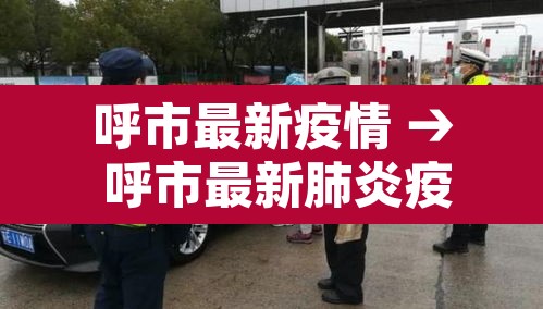 呼市最新疫情 → 呼市最新肺炎疫情
