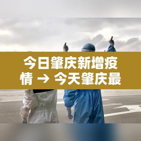 今日肇庆新增疫情 → 今天肇庆最新疫情 今日肇庆新增疫情 → 今天肇庆最新疫情