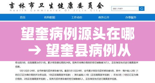 望奎病例源头在哪 → 望奎县病例从何而来
