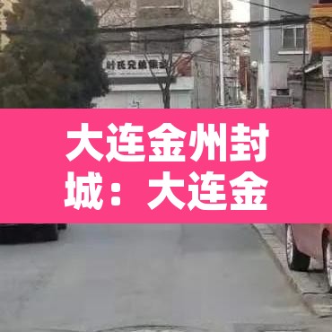 大连金州封城：大连金州封城安排