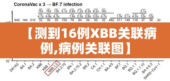 【测到16例XBB关联病例,病例关联图】