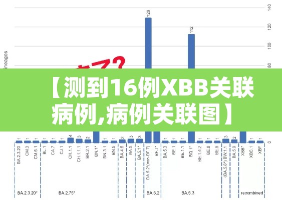 【测到16例XBB关联病例,病例关联图】