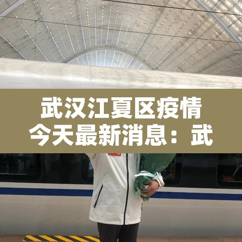 武汉江夏区疫情今天最新消息：武汉江夏区最新疫情通报