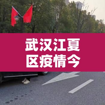 武汉江夏区疫情今天最新消息：武汉江夏区最新疫情通报