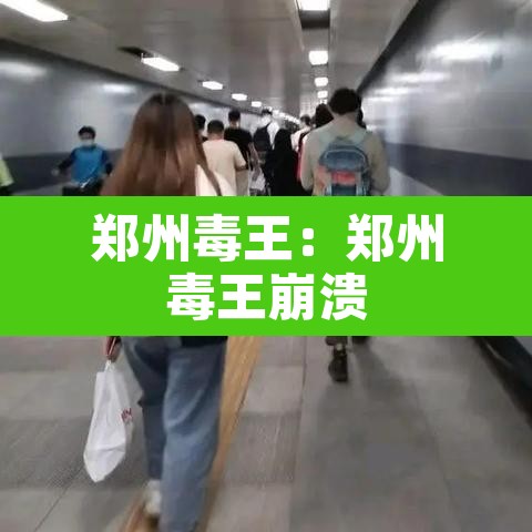 郑州毒王：郑州毒王崩溃