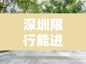 深圳限行能进小区吗吗—（深圳限行能出去吗）