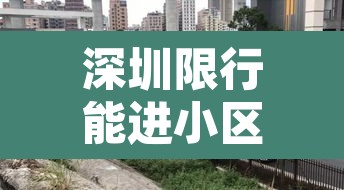 深圳限行能进小区吗吗—（深圳限行能出去吗）
