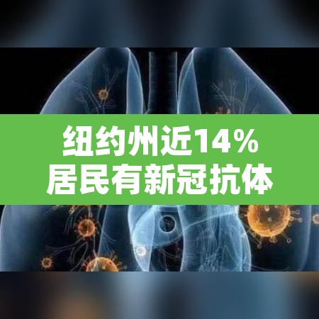 纽约州近14%居民有新冠抗体:美国纽约市新冠肺炎人数 纽约州近14%居民有新冠抗体:美国纽约市新冠肺炎人数