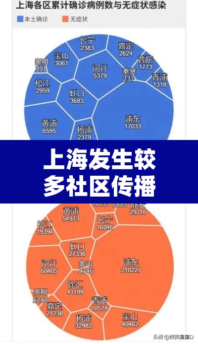 上海发生较多社区传播外溢多省市›上海发现确诊的小区