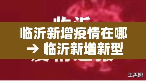 临沂新增疫情在哪 → 临沂新增新型冠状病毒