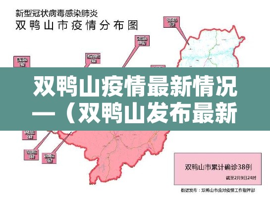 双鸭山疫情最新情况—（双鸭山发布最新疫情）