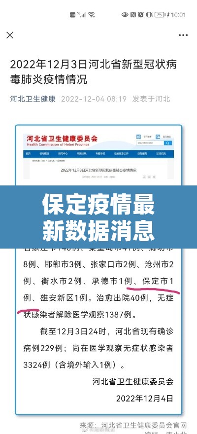 保定疫情最新数据消息 → 保定疫情最新动态
