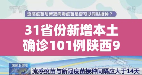 31省份新增本土确诊101例陕西92例—（陕西 新增 本土）