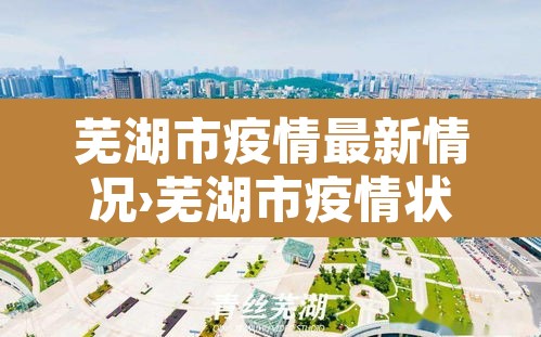 芜湖市疫情最新情况›芜湖市疫情状况