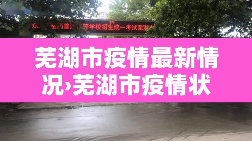 芜湖市疫情最新情况›芜湖市疫情状况