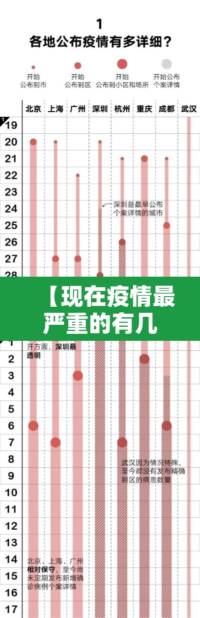 【现在疫情最严重的有几个地方城市·现在疫情最严重的地区有哪些】
