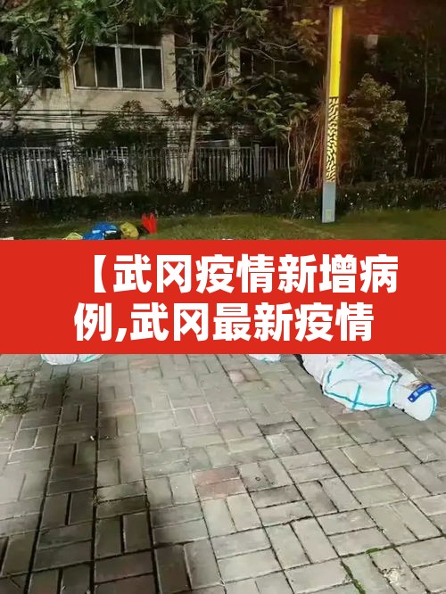 【武冈疫情新增病例,武冈最新疫情】
