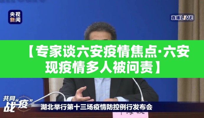 【专家谈六安疫情焦点·六安现疫情多人被问责】