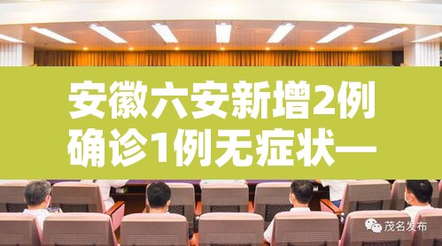 安徽六安新增2例确诊1例无症状—（安徽六安新增两例）