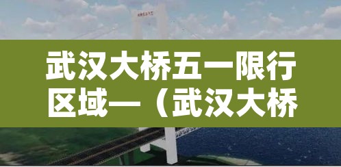 武汉大桥五一限行区域—（武汉大桥限行说明）