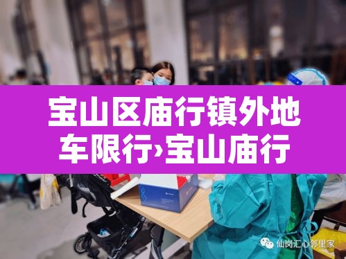 宝山区庙行镇外地车限行›宝山庙行最新规划建设