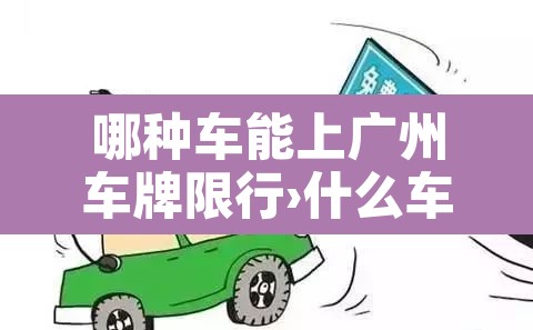 哪种车能上广州车牌限行›什么车可以上广州车牌