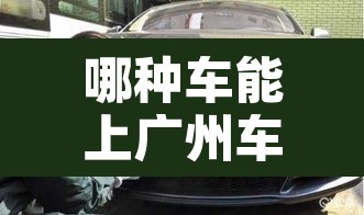 哪种车能上广州车牌限行›什么车可以上广州车牌