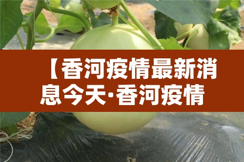 【香河疫情最新消息今天·香河疫情最新消息今天封城了】