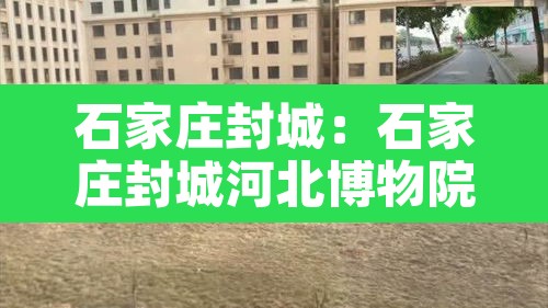 石家庄封城：石家庄封城河北博物院