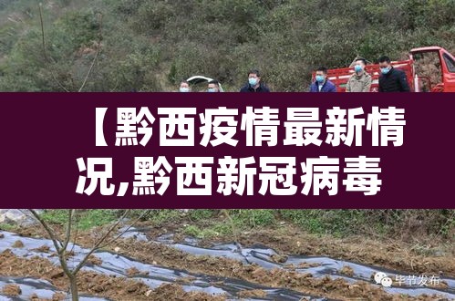 【黔西疫情最新情况,黔西新冠病毒疫情消息】